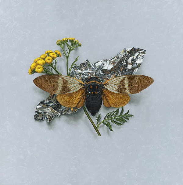 Tansy and Cicada Reflections by Alex Louisa | Lethbridge Gallery